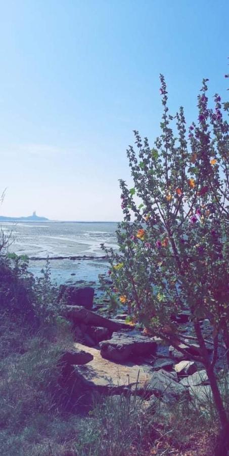 Camping le Rivage Quettehou Esterno foto
